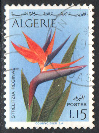 Algeria Scott 499 Used